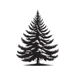 Silhouette of Blue Spruce Tree  - Minimalist Tree Design - Blue Spruce Tree Art - Blue spruce Illustration.