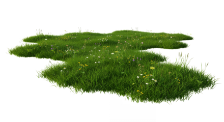 Lush Green Meadow with Wildflowers isolated on white or transparent png background