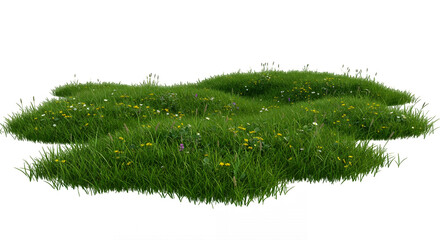 Lush Meadow with Wildflowers, Perfect for Nature Scenes isolated on white or transparent png background