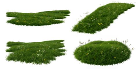 Four Diverse Grassy Patches with Wildflowers isolated on white or transparent png background