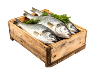 Fresh Fish in a Wooden Crate, Ready for Market