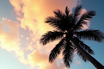Obraz premium Dark palm tree, stark black leaves against bright sky, pattern, plant