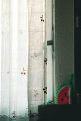 さくらんぼとスイカ