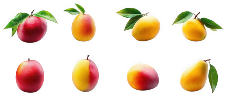 collection of various mangoes. showcasing their vibrant colors and distinct shapes. arranged in a grid pattern on a white background the purpose is to highlight the beauty and diversity of mangoes. of