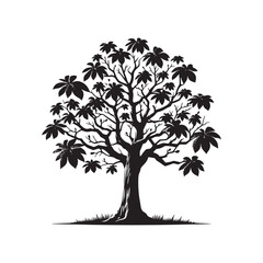Minimalist Butternut Tree Silhouette - Butternut Tree Design - Butternut Tree Vector - Butternut Tree Illustration.