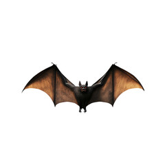 3D Render of a Bat with Spread Wings on White Background