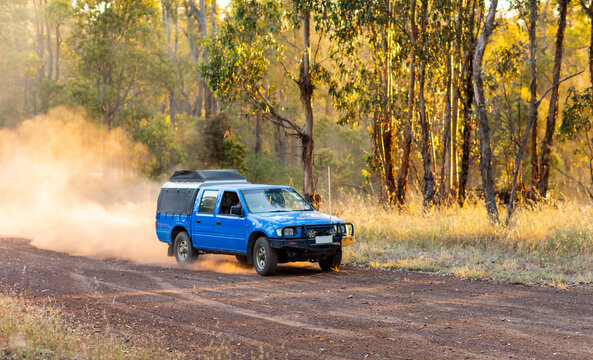 blue ute causing dust driving on dirt near forest