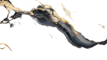 Abstract Gold & Black Ink Splashes Isolated on White