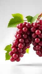 Fototapeta premium Elegant presentation of red grapes with green leaves, against a light gradient background to emphasize the fruit s beauty