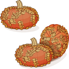 Group of Galeux de Eysines Squash or French Warted Pumpkin. Winter squash. Cucurbita maxima. Vegetables. Clip art. Isolated vector illustration.