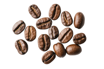 Top view roasted coffee beans arranged geometrically on pure white space, ideal for e-commerce product listings, coffee subscription box branding, and food blogger content creation.