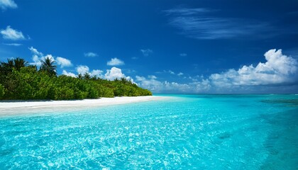 Fototapeta premium モルディブの美しい海（Beautiful sea of ​​Maldives） 