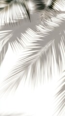 Fototapeta premium Palm leaves cast intricate shadows on a white wall, creating a serene and tropical atmosphere with soft light and natural patterns