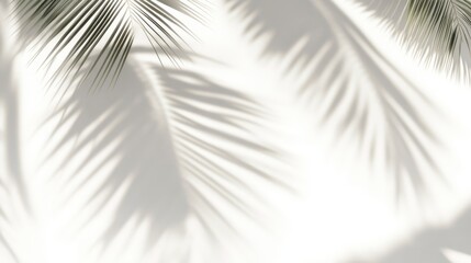 Obraz premium Palm leaves cast intricate shadows on a white wall, creating a serene and tropical atmosphere with soft light and natural patterns