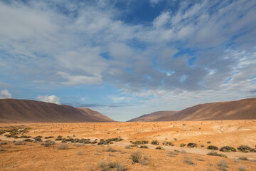 Atacama desert