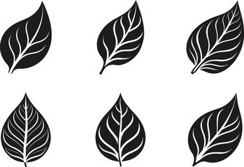 Fototapeta premium Set of Elegant Leaf Silhouettes - Eco-Friendly Nature Vector Icons for Earth Day