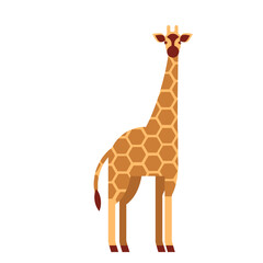 Fototapeta premium giraffe long spot neck tall ossicones flat rounded geometric.eps