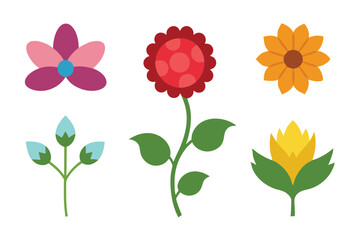 Diverse floral vector illustrations featuring vibrant flowers, perfect for microstock and design projects.