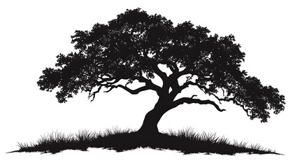 Silhouette Tree Nature Landscape Background