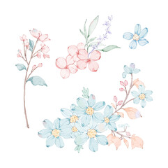 cherry blossom branch