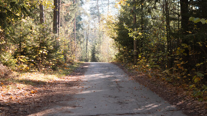 Obraz premium Autumn forest road