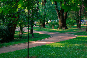 side city place for walking park natural summer time green grass lawn and track curved path outdoor