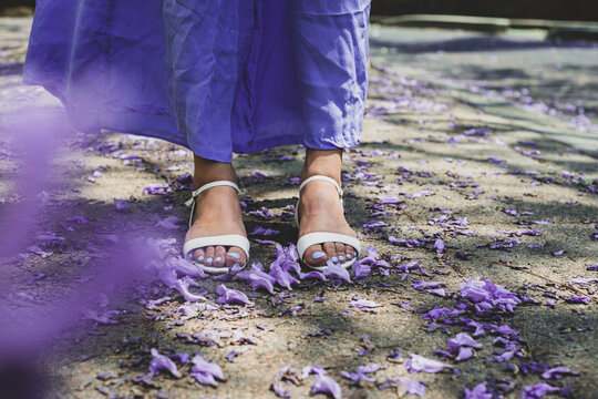 feet and jacarandas