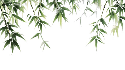 Obraz premium Bamboo Leaves Isolated on White: Nature's Serenity, Lush Greenery, Perfect for Design Projects, Graphic Resource.