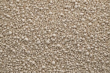 a close up of a pile of white pebbles on a floor