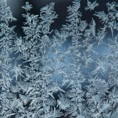 Frost patterns on glass as a background