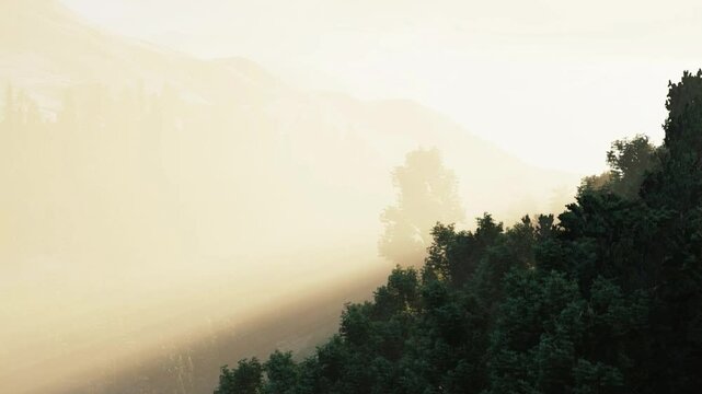 A stunning animation of a golden sunrise on the slopes of Mount Merapi. The golden morning light bathes the landscape, creating a magical atmosphere amidst trees and soft, lingering mist