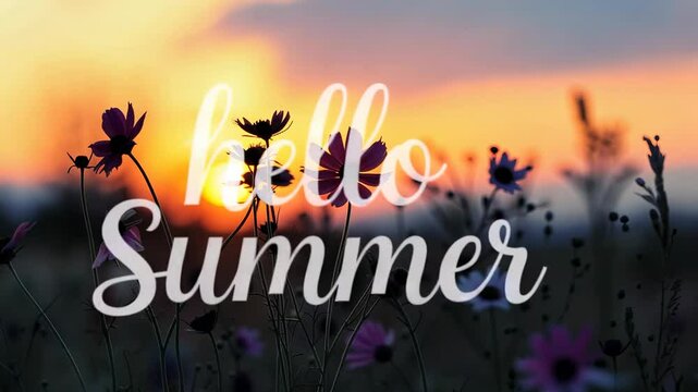 Wildflowers and herbs on the background with sun flare and setting sun. Hello summer animation greeting card