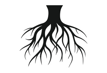Tree Roots Silhouette Vector Illustration on White Background