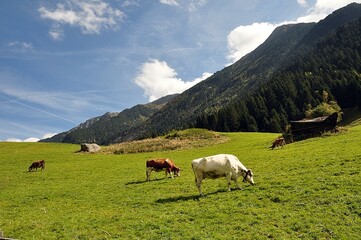 Unterwegs im Stubaital