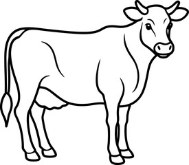 black and white cow