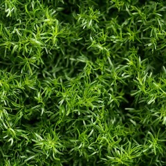 Fototapeta premium Seamless Vibrant green plant displayed against a neutral background highlighting its freshness and natural beauty