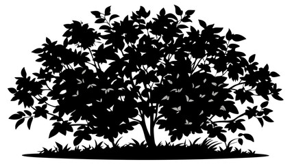 silhouettes of trees