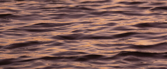 ocean waves close up during sunset