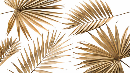 Obraz premium palm tree leaves