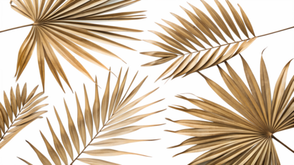 palm tree leaves