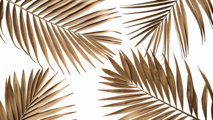 palm leaves background