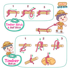Basic Boy Scout Knots Vector.