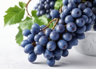 Luscious blue grape bunch covered in dew drops on white background, antioxidants, vibrant