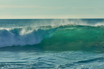 Fototapeta premium Crashing Ocean Wave in Sunlight