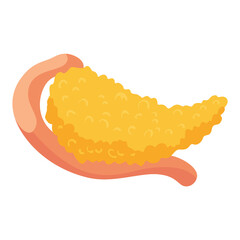 Internal human body organ - pancreas, info poster. Medical anatomy infographic element. Medicine concept, healthcare.  illustration