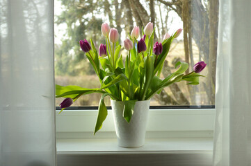 Beautiful pink and purple tulips are arranged in a vase on a sunlit windowsill indoors.
