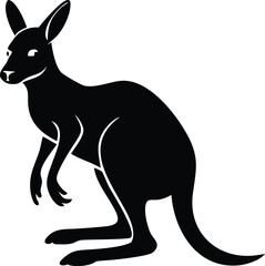 kangaroo vector illustration