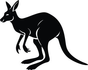 kangaroo vector illustration