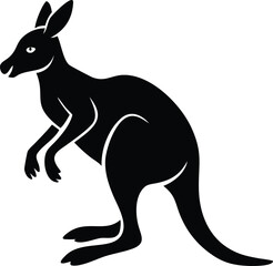 kangaroo vector illustration