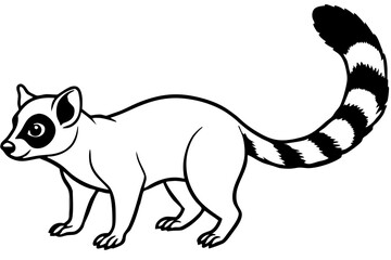 Ringtail Silhouette